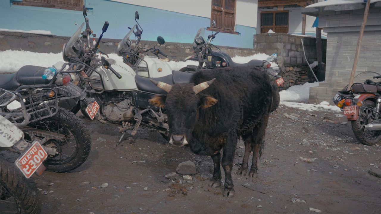 Iron Ghoda ride